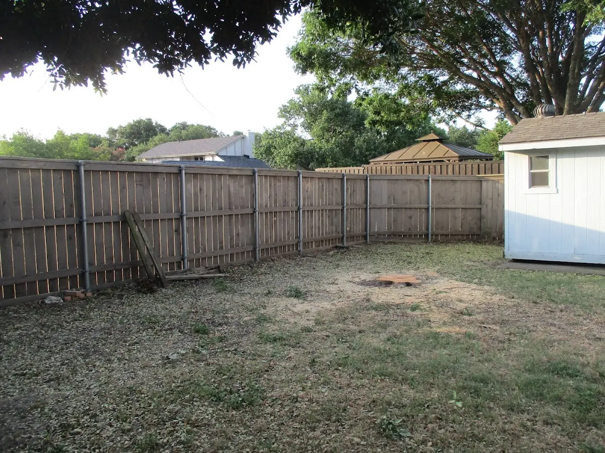 Cleared yard after professional tree removal in White Sulphur Springs